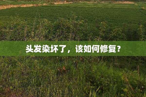头发染坏了，该如何修复？
