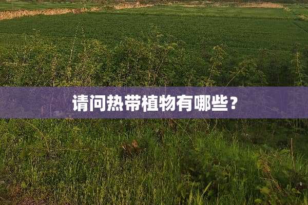 请问热带植物有哪些？