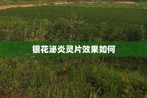 银花泌炎灵片效果如何