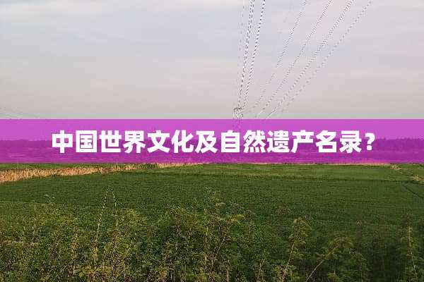 中国世界文化及自然遗产名录？