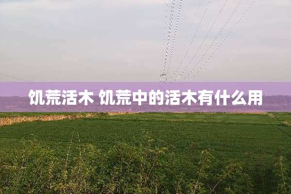 饥荒活木 饥荒中的活木有什么用