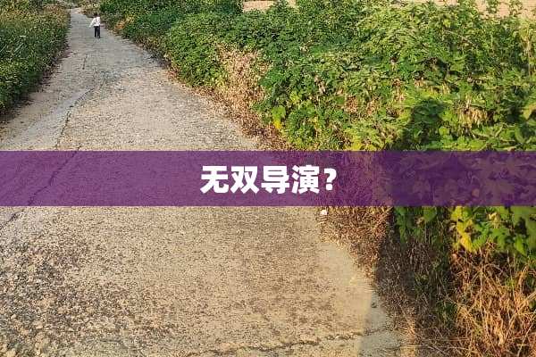 无双导演？