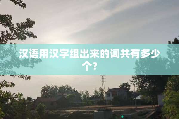 汉语用汉字组出来的词共有多少个？