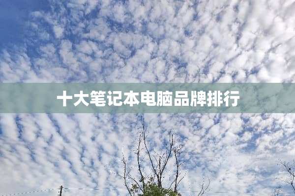 十大笔记本电脑品牌排行