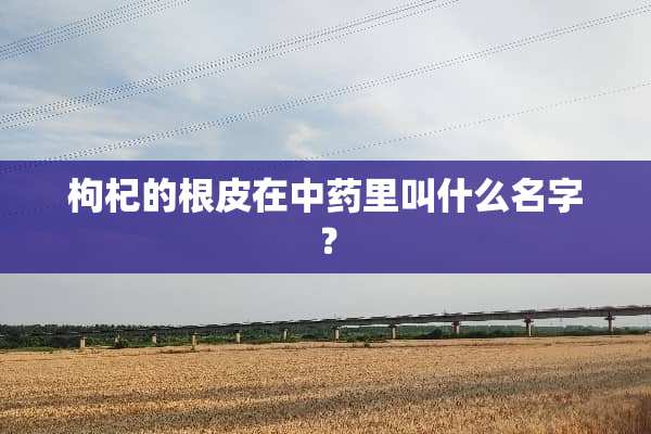 枸杞的根皮在中药里叫什么名字？