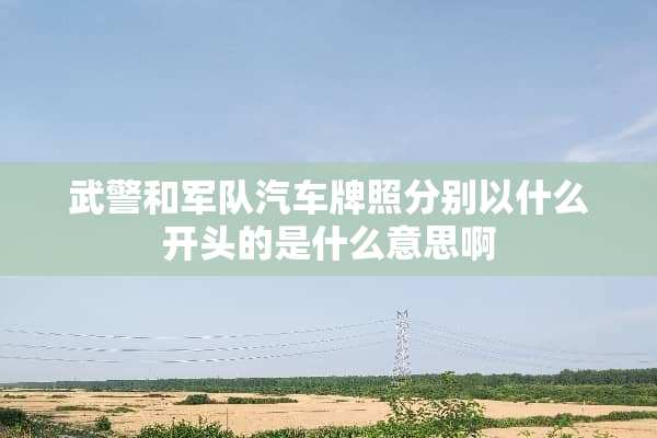 **和**汽车牌照分别以什么开头的是什么意思啊
