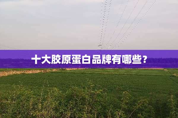 十大胶原蛋白品牌有哪些？