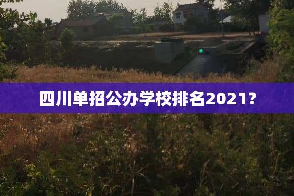 四川单招公办学校排名2021？