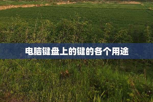 电脑键盘上的键的各个用途
