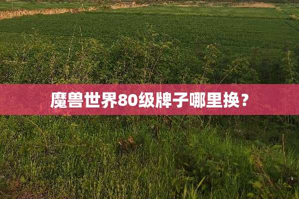 魔兽世界80级牌子哪里换？