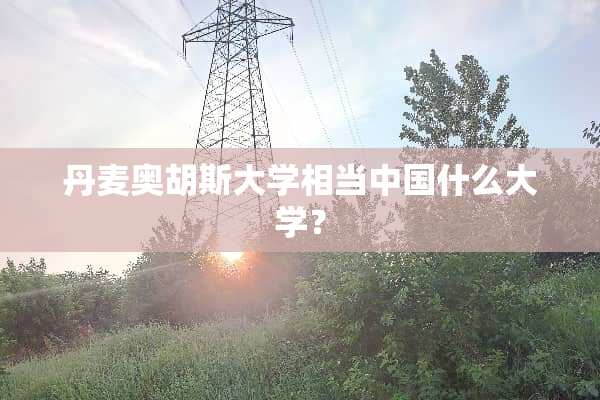 丹麦奥胡斯大学相当中国什么大学？