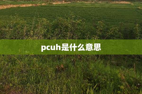 pcuh是什么意思