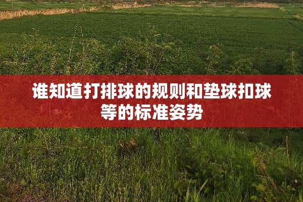 谁知道打排球的规则和垫球扣球等的标准姿势