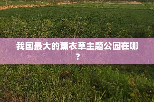 我国最大的薰衣草主题公园在哪？
