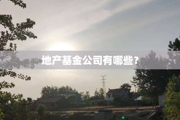 地产基金公司有哪些？