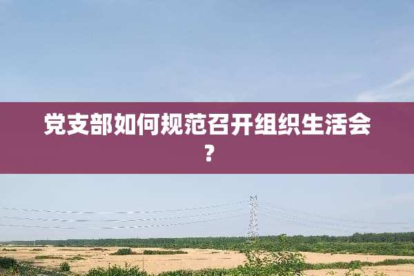 *支部如何规范召开组织生活会？