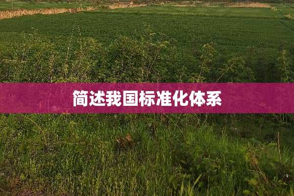 简述我国标准化体系