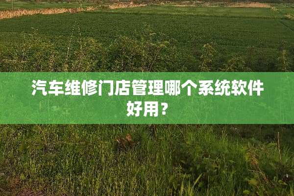 汽车维修门店管理哪个系统软件好用？