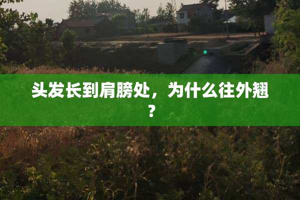 头发长到肩膀处，为什么往外翘？