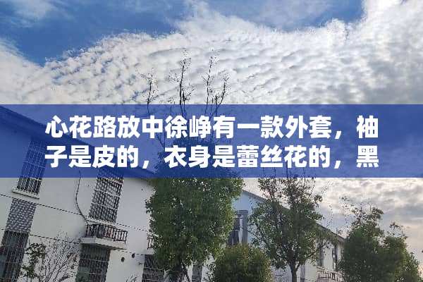 心花路放中徐峥有一款外套，袖子是皮的，衣身是**花的，黑色，什么牌子的呀