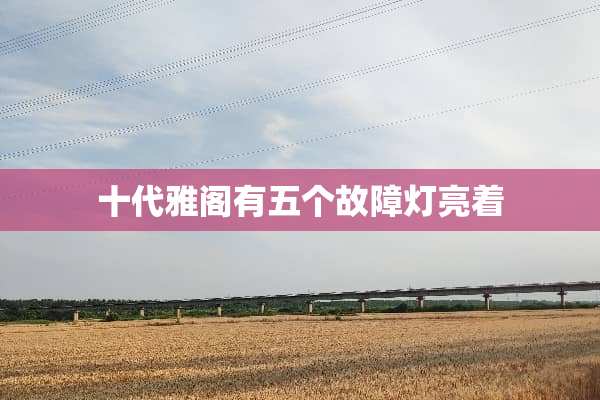 十代雅阁有五个故障灯亮着