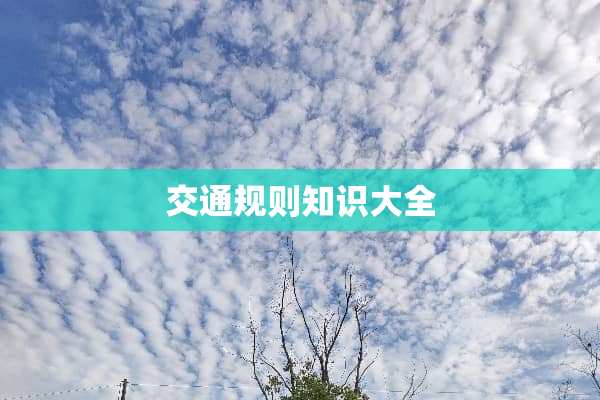交通规则知识大全