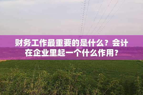 财务工作最重要的是什么？会计在企业里起一个什么作用？