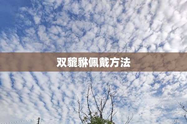 双貔貅佩戴方法