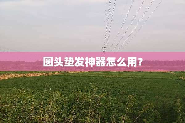 圆头垫发神器怎么用？