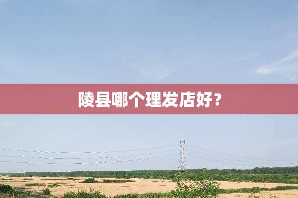 陵县哪个理发店好？