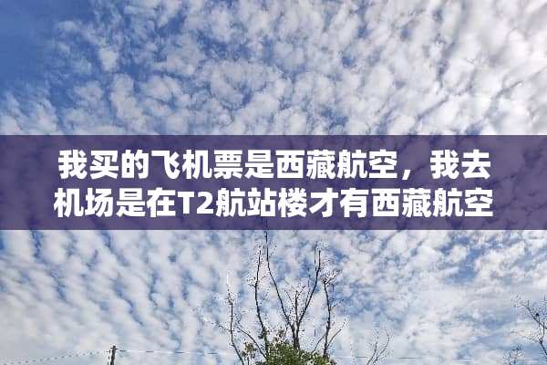 我买的***是西藏航空，我去机场是在T2航站楼才有西藏航空的飞机吗