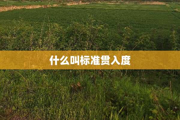 什么叫标准贯入度
