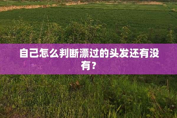 自己怎么判断漂过的头发还有没有？