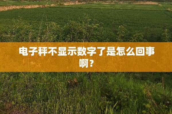 电子秤不显示数字了是怎么回事啊？