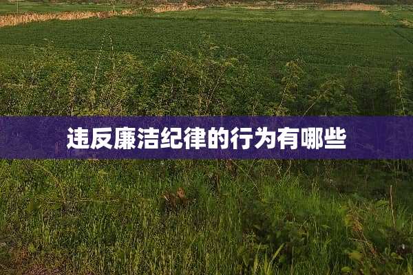 违反廉洁纪律的行为有哪些