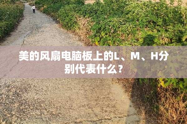 美的风扇电脑板上的L、M、H分别代表什么？