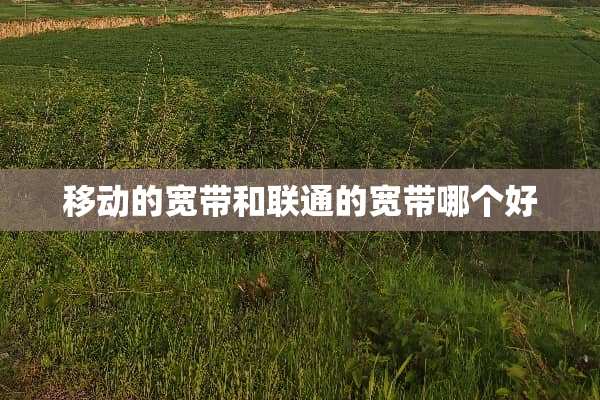移动的宽带和联通的宽带哪个好