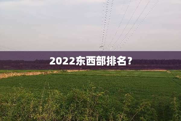2022东西部排名？