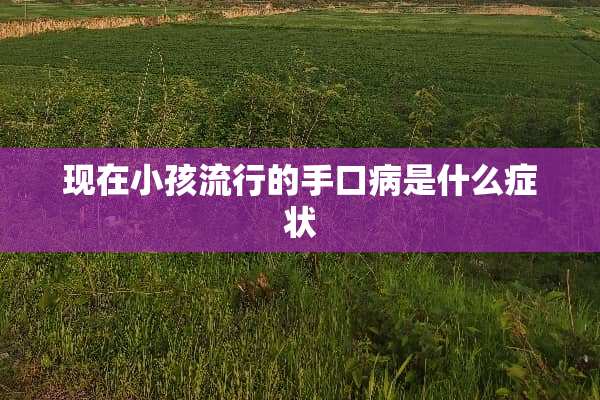 现在小孩流行的手口病是什么症状