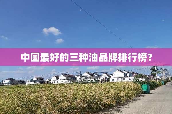 中国最好的三种油品牌排行榜？