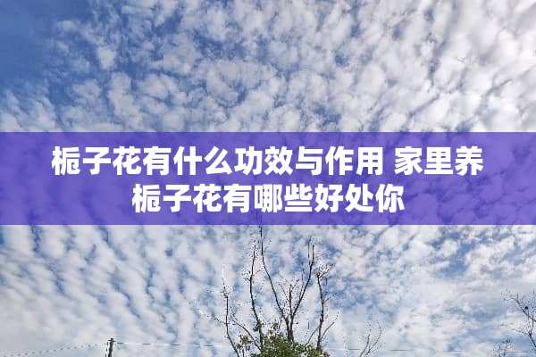 栀子花有什么功效与作用 家里养栀子花有哪些好处你
