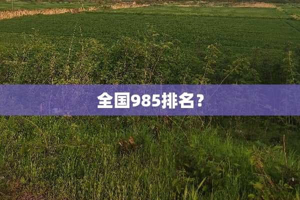 全国985排名？
