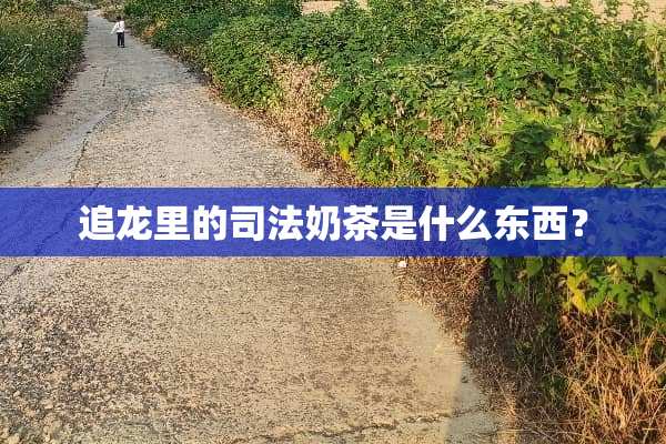 追龙里的司法奶茶是什么东西？