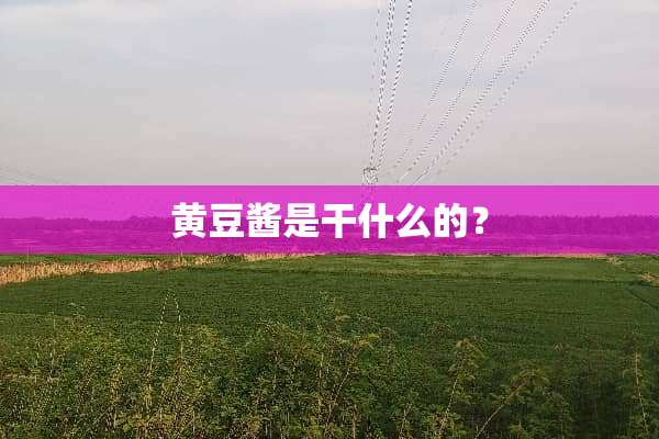 黄豆酱是干什么的？