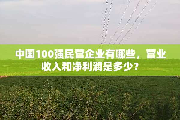 中国100强民营企业有哪些，营业收入和净利润是多少？