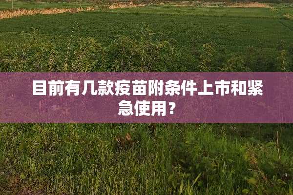 目前有几款**附条件上市和紧急使用？