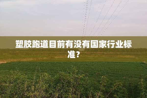 塑胶跑道目前有没有国家行业标准？