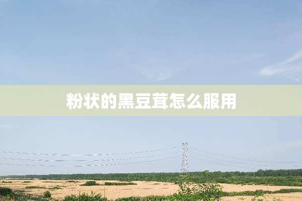 粉状的黑豆茸怎么服用