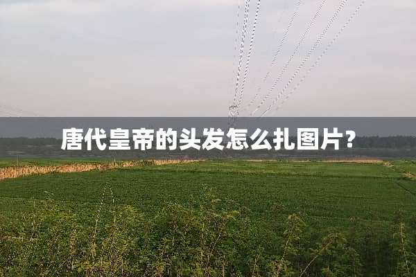 唐代皇帝的头发怎么扎图片？