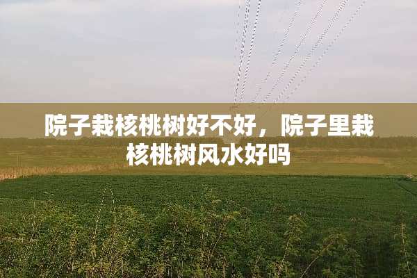 院子栽核桃树好不好，院子里栽核桃树风水好吗